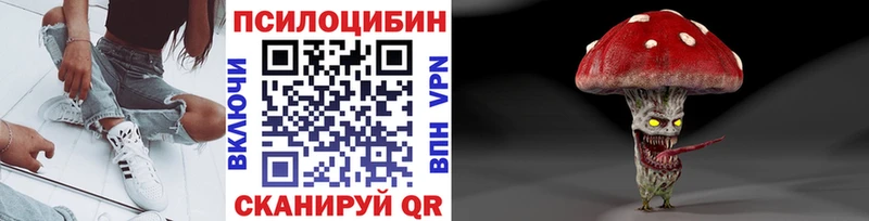 Галлюциногенные грибы ЛСД  omg зеркало  Новомичуринск 